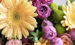 Featured image of post First Post