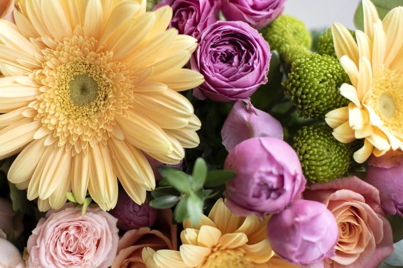 Featured image of post First Post